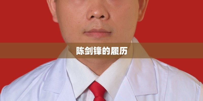 陈剑锋的履历 陈剑锋的履历