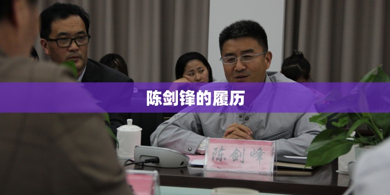 陈剑锋的履历 陈剑锋的履历