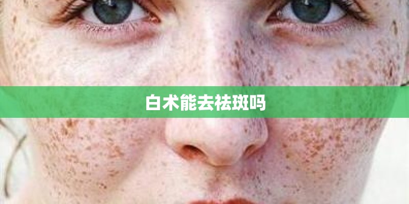 白术能去祛斑吗