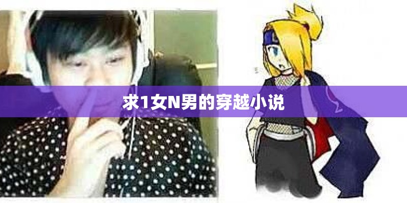求1女N男的穿越小说