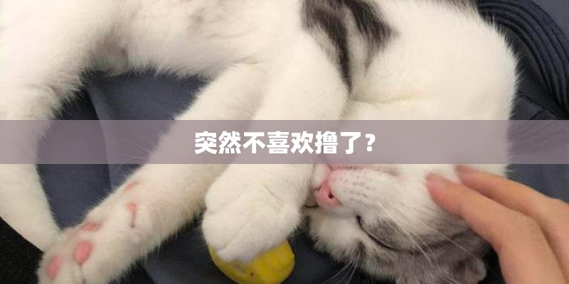 突然不喜欢撸了？