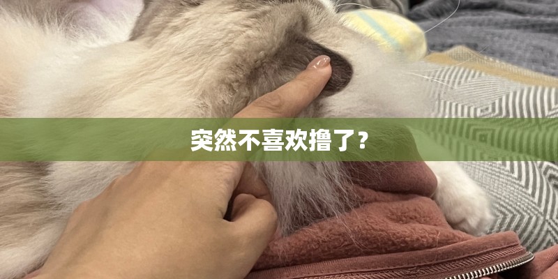 突然不喜欢撸了？