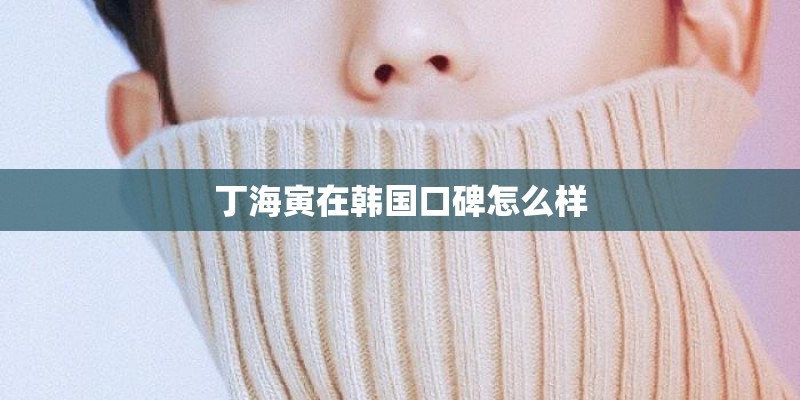丁海寅在韩国口碑怎么样