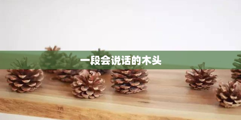 一段会说话的木头 一段会说话的木头