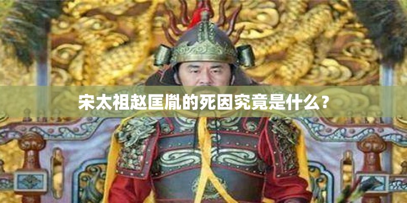 宋丽萍的主要成就