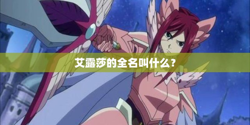 艾露莎的全名叫什么？