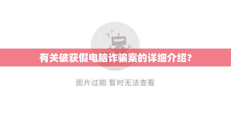 有关破获假电脑诈骗案的详细介绍？
