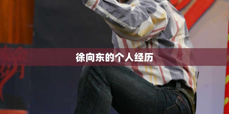 徐向东的个人经历