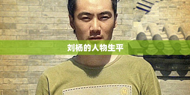 刘杨的人物生平